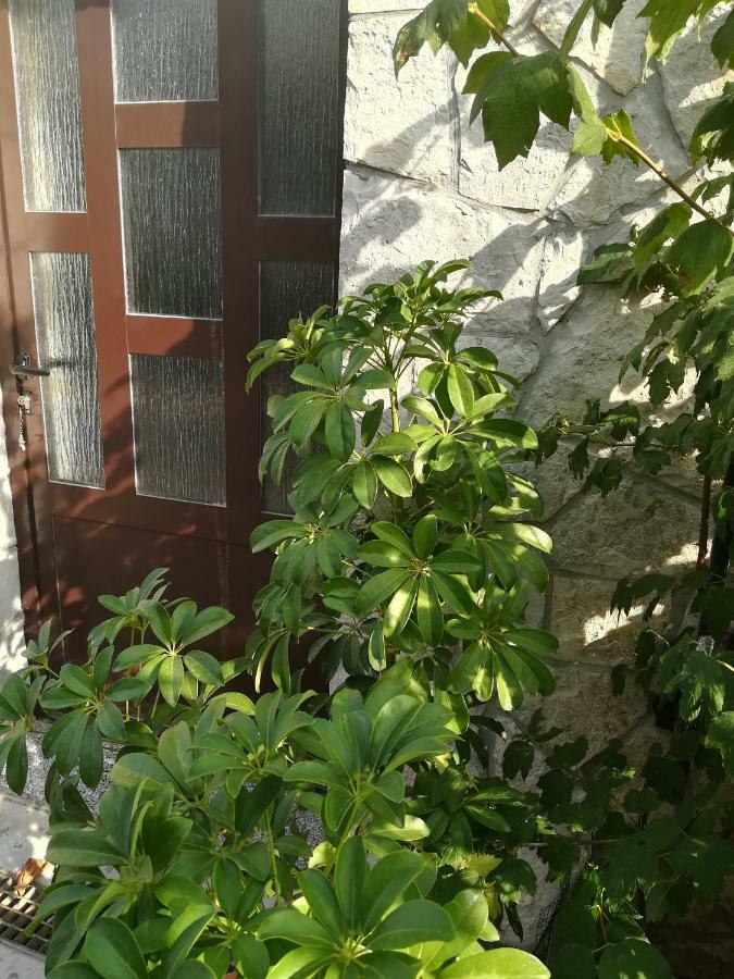 Apartman Nada Kornić Exterior foto
